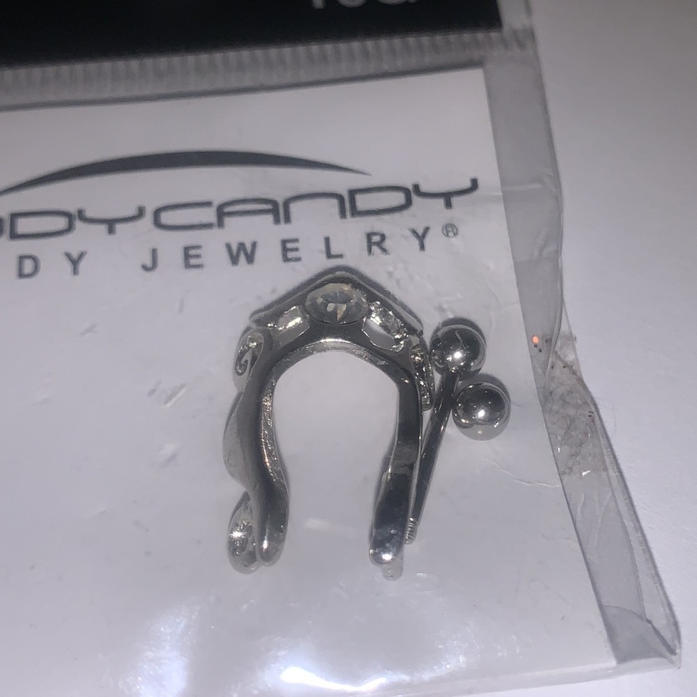 Body Candy Piercing - Picture 3 of 3